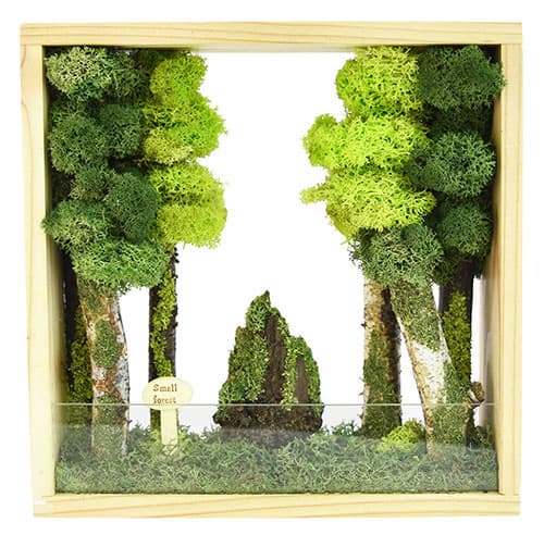 Scandia Moss 3D Frame_Interior_ View of Forest
